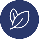 Materiali selezionati