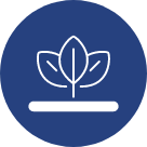 Ecologico
